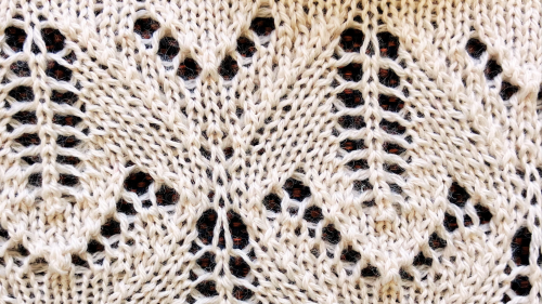 Lace with Tuck