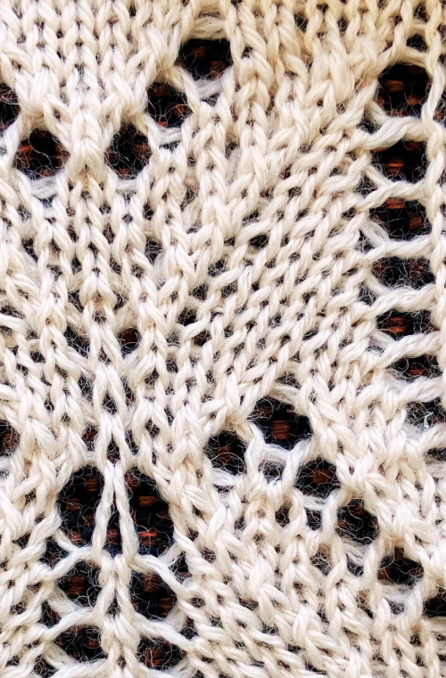 Lace with Tuck