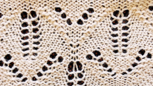 Lace with Tuck - Image 3