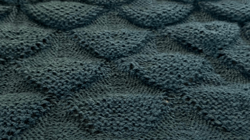 Dragon Skin